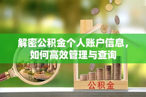 满城解密公积金个人账户信息，如何高效管理与查询