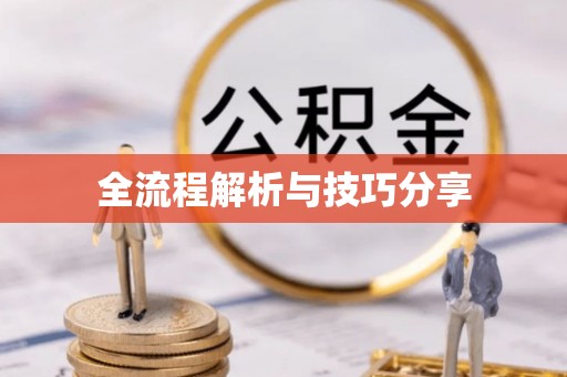 满城全流程解析与技巧分享